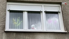 Medvjedić na prozoru obiteljskog stana, Foto: HRT/Web i multimedija/B.V.M.