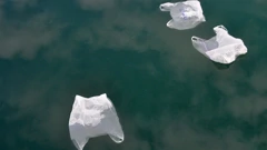 Svaki komad plastike u moru završava kao mikroplastika u morskim organizmima