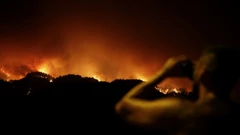 Požar na Tenerifeu
