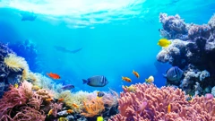 Zaštita 30 posto oceana velik izazov za planet