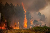 Požari u Francuskoj, Foto: Gironde region/REUTERS