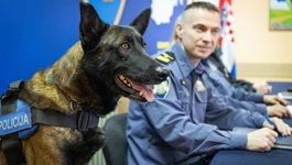 Policijski pas Don
