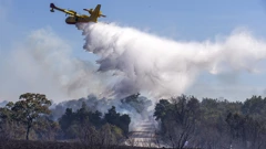 Požar na Ravči pod nadzorom, izgorjelo 4 hektara borove šume