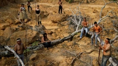 Rekordno krčenje amazonske prašume 