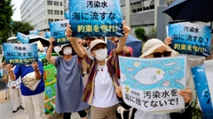 Prosvjedi u Fukushimi