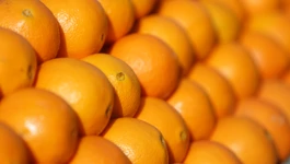 Sočne naranče mogu i u kolače, a ako koristite koricu bilo bi dobro da su nešpricane