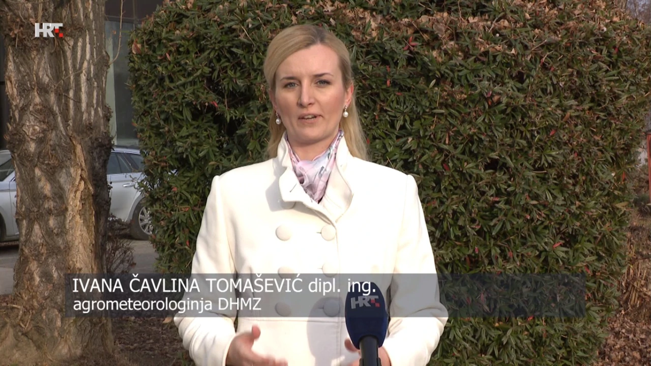 Ivana Čavlina Tomašević, Foto: HTV/HRT