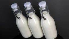 Unazad 15 godina prestalo raditi 15 malih i tri veće mljekarske industrije