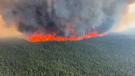 Dim se diže iz šumskog požara u Tumbler Ridgeu