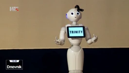 Humanoidni robot