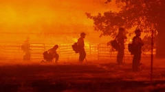 "Oak Fire" zahvatio više od 2.500 ha