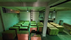 Kontejner s krijumčarenim cigaretama dopremljen iz Dubaija