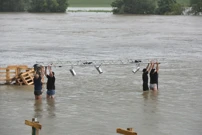 Zagreb: Djelatnici Green River Festa spašavaju opremu koja je potopljena u rijeci Savi, Foto: Davorin Visnjic /Pixsell