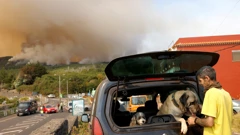 Tisuće ljudi na Tenerifeu evakuirane zbog požara