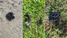 Ostaci izgorene plastike na polju kod Antunovca