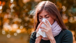 Kako ublažiti jesenske alergije?
