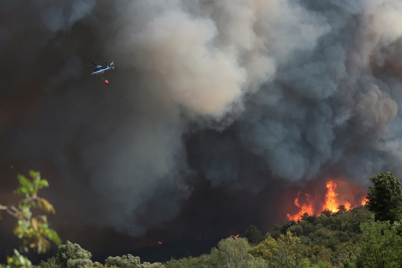 Požar u Sloveniji, Foto: Borut Zivulovic/REUTERS 