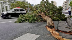 Tajfun Nanmadol pogodio južni japanski otok Kyushu