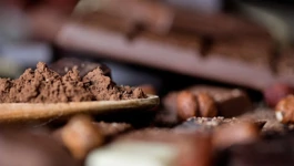 Kakao i čokolada neizostavni su dio sočnog raja!
