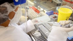 Testiranje uzoraka na koronavirus