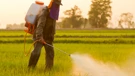 Korištenje pesticida