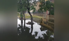 Posljedica poplave u Županji , Foto: Zrinka Perić/HRT