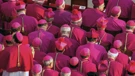 Biskupi u Vatikanu/Ilustracija