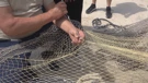 Ribarska mreža