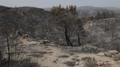 Stručnjaci: Ekosustav u Grčkoj suočeni sa sve veći rizikom od požara