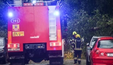 Zagreb: Vatrogasci u akciji nakon pada stabla na automobile, Foto: Igor Soban /PIXSELL 