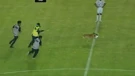 Pas utrčao na teren tijekom utakmice meksičke lige