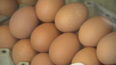 Zbog nedostatne proizvodnje Hrvatska i uvozi jaja