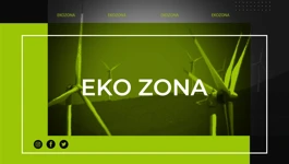 Eko zona