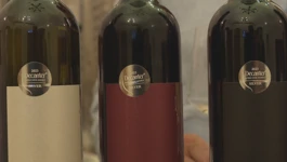 Imotski vinar briljirao na Decanterovim nagradama