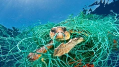 U Mediteranu pluta skoro 1.500 tona plastike!