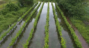  Fotografije iz zraka poplavljenih polja na vrgoračkom području 