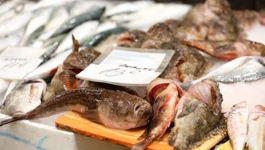 Bogata ponuda ribe, rakova i muzgavaca na rijeckoj ribarnici privukla je mnogobrojne kupce