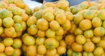 Prodaja mandarina