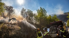 Gori iznad Orašca, vatrogasci uspjeli obraniti kuće u Ljupču