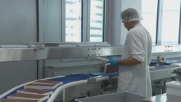 Proizvodnja veganske čokolade u unutrašnjosti Dalmacije