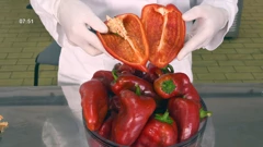 Reciklirani biootpad paprike