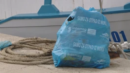 Tribunjske koće u akciji spašavanja morskog dna od plastike 