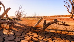 Iza razorne suše na Rogu Afrike stoji globalno zatopljenje