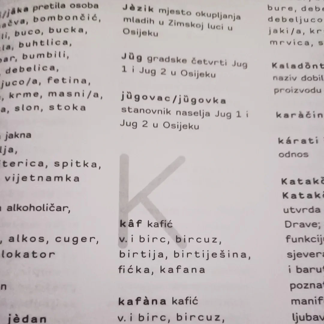 Iz knjige „Osječki gradski govor. Jezične dumine Osječana”, Foto: HRT/Radio Osijek