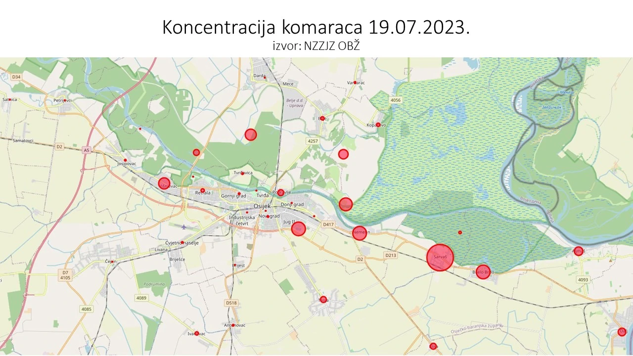 koncentracija komaraca, Foto: Grad Osijek/Grad Osijek