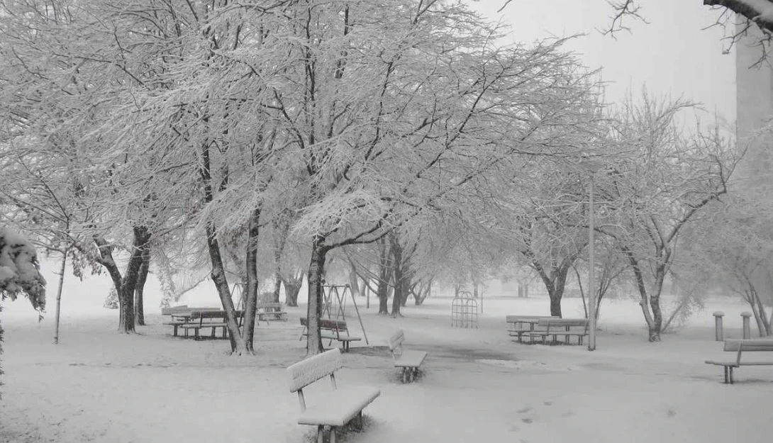 Snijeg u Zagrebu, Foto: Dijana Mikulić/HTV