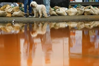 Posljedice katastrofalnih poplava u Njemačkoj, Foto: Thilo Schmuelgen/Reuters