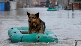 Poplave u ruskom gradu Orenburgu