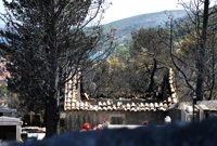 Požar zahvatio groblje u Zatonu, Foto: Dusko Jaramaz/PIXSELL