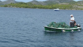 Kočari pomažu čistiti otpad s dna mora